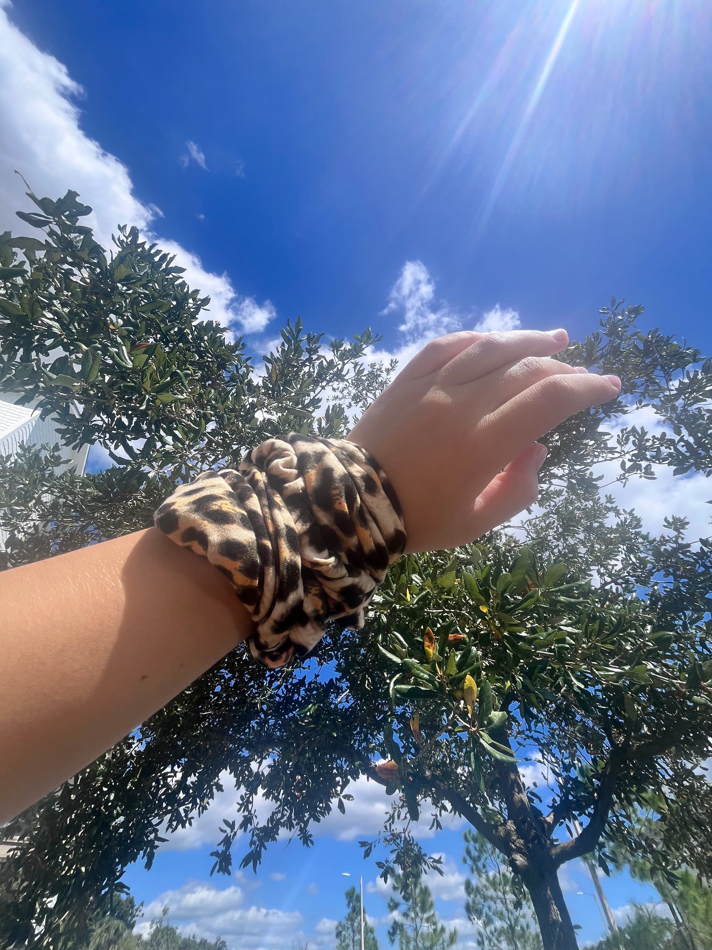 Cheetah Print Laze Headband - Built-In Hair Tie for Comfort, Motion and Style